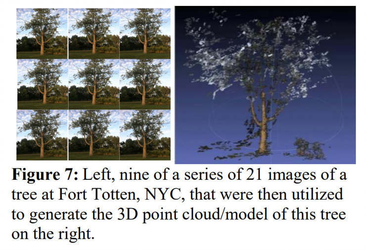Rephotography of urban trees aligned against LiDAR data to show canopy change